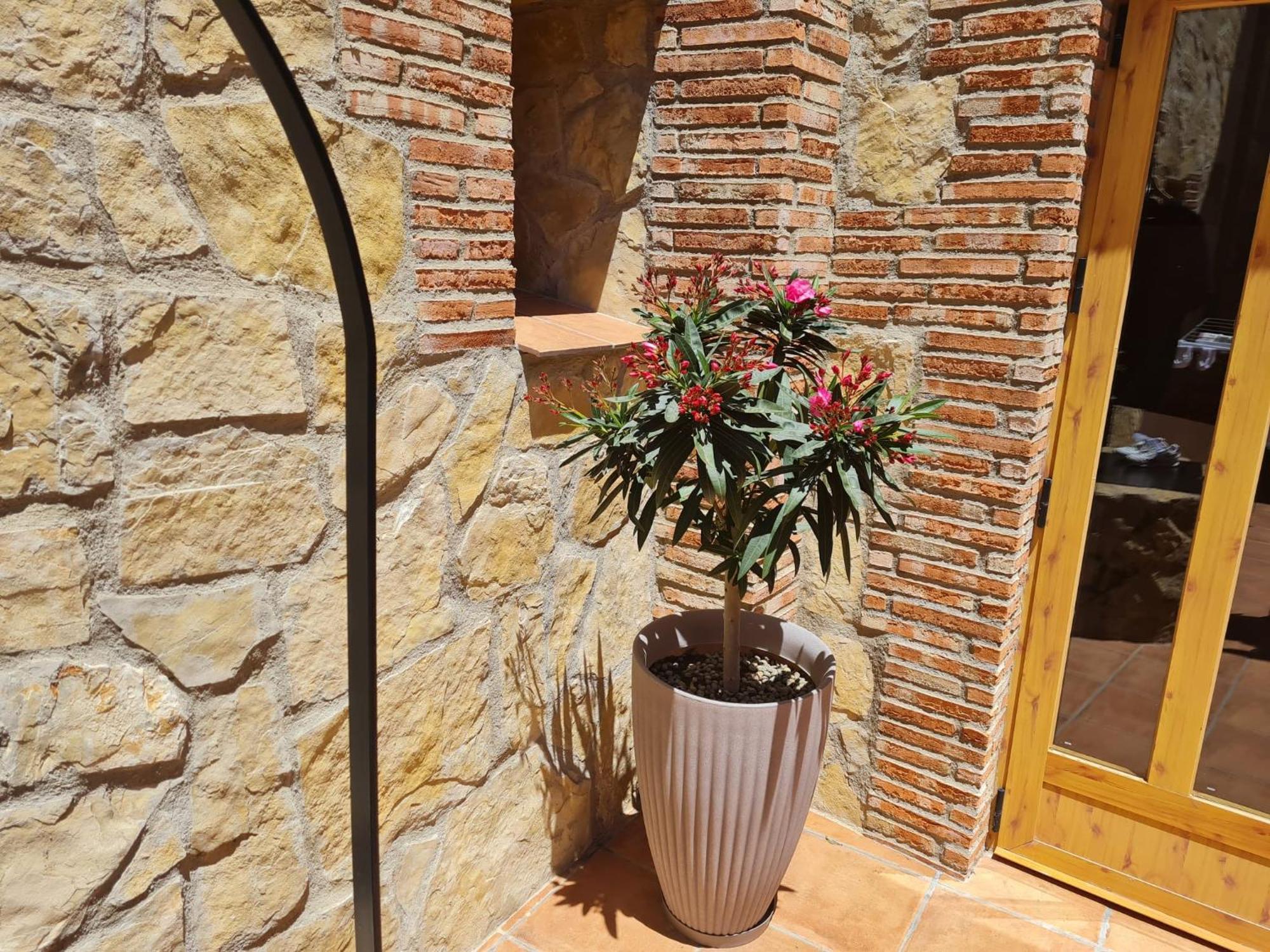 Casa Rural Del Pantano 4 Estrellas Buenache de Alarcon Exteriér fotografie